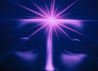 Le groupe : ~ Voix de Popeye ~